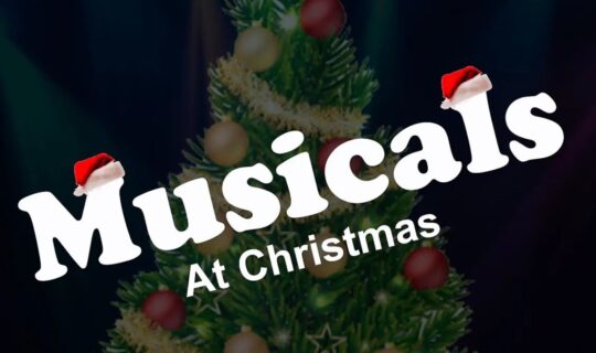 Musicals at Christmas at The Welfare, Swansea