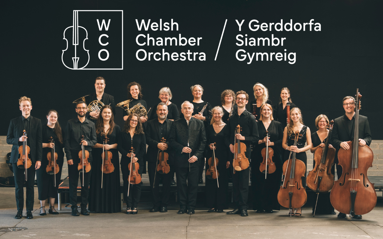 Welsh Chamber Orchestra at The Welfare Ystradgynlais, Swansea