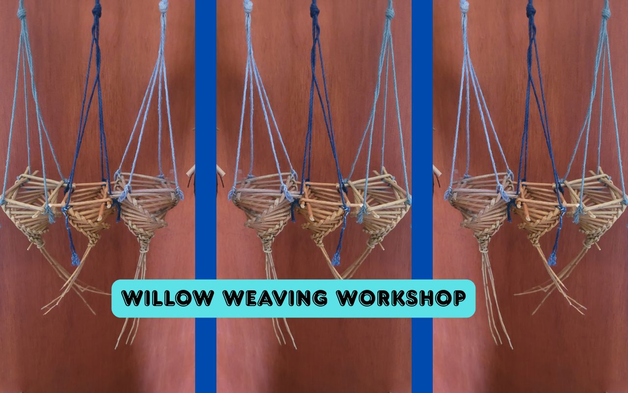 Willow-Workshop